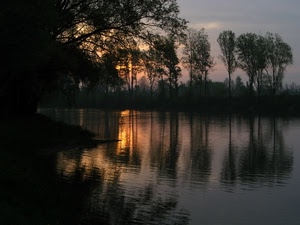 tramonto, alberi, fiume, riflesso, acqua, paesaggio, riflessi, sole