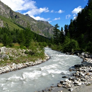 acqua, montagna, fiume, torrente, montagne, sassi, boschi, alberi