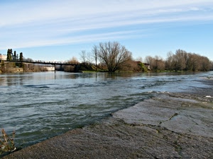 fiume, ponte, acqua, alberi, cielo, piena