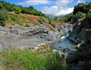 alberi, rocce, fiume, nuvole, acqua, torrente, erba, verde, natura